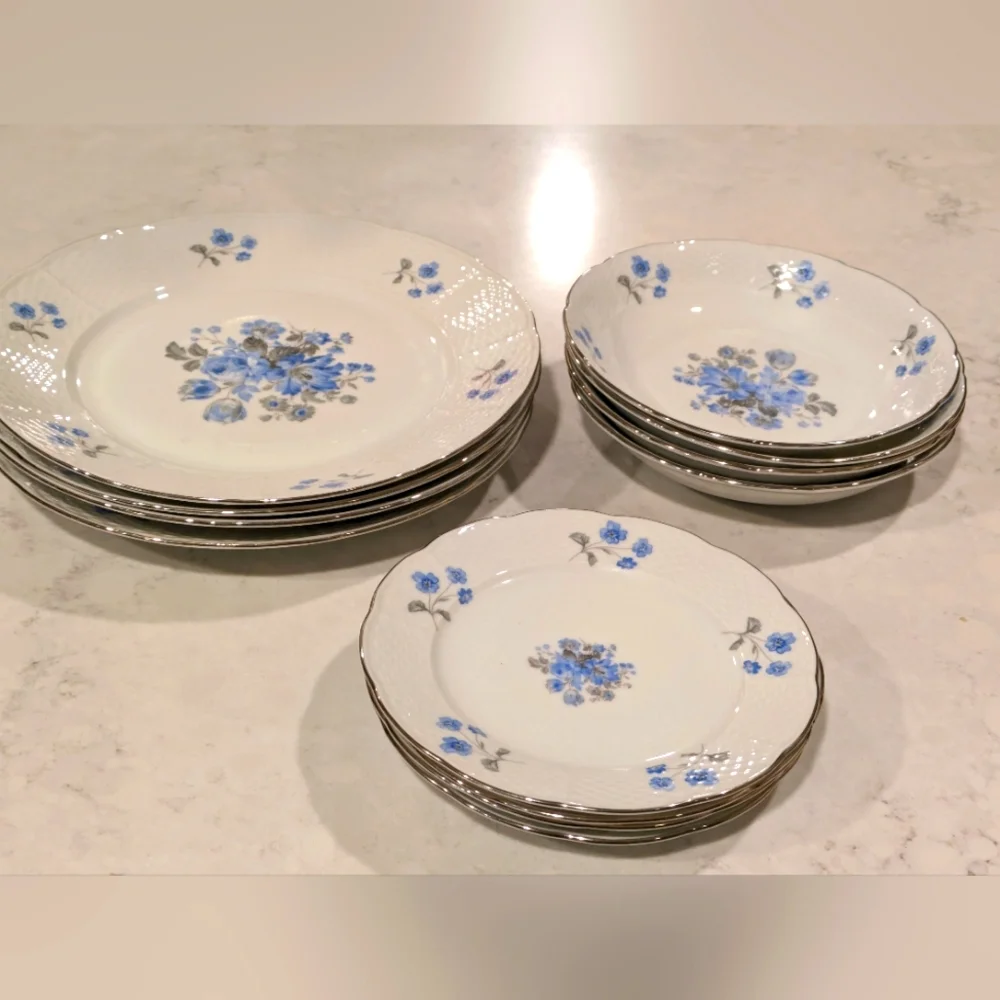 Vintage Set of 12 Plates With Blue Flowers Czechoslovakia